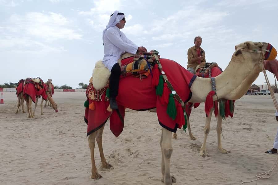 Doha: Desert Safari Dune Bashing, Sandboarding, & Camel Ride - Who will enjoy this desert safari most