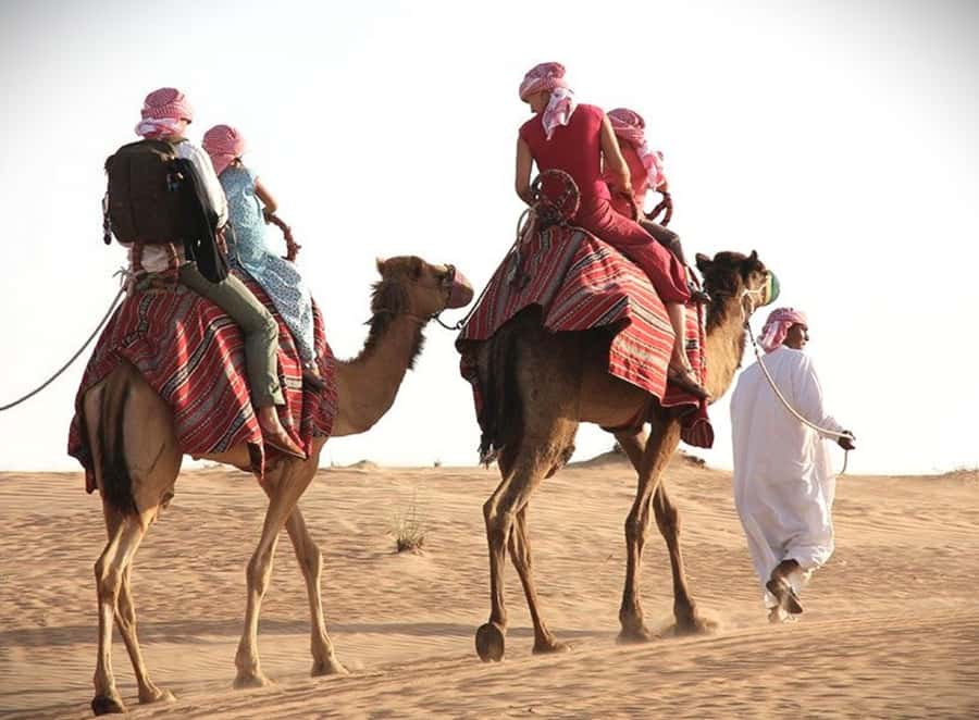 Doha: Desert Safari, Dune Bashing, Sandboarding, Camel Ride - The first 4WD run across the dunes