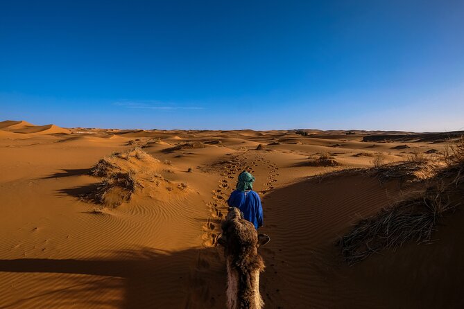 Doha Desert Safari Dune bashing,Sandboarding,CamelRide,Inland Sea - Who will enjoy this four-hour outing