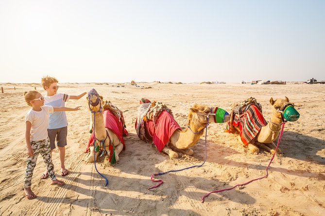 Doha Desert Safari: Dunebashing, Camel, Sandboarding & Inland Sea - Leaving Doha for the open desert