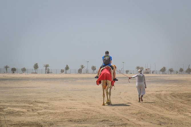 Doha Desert Safari: Dunebashing, Camel, Sandboarding & Inland Sea - The five-minute camel ride