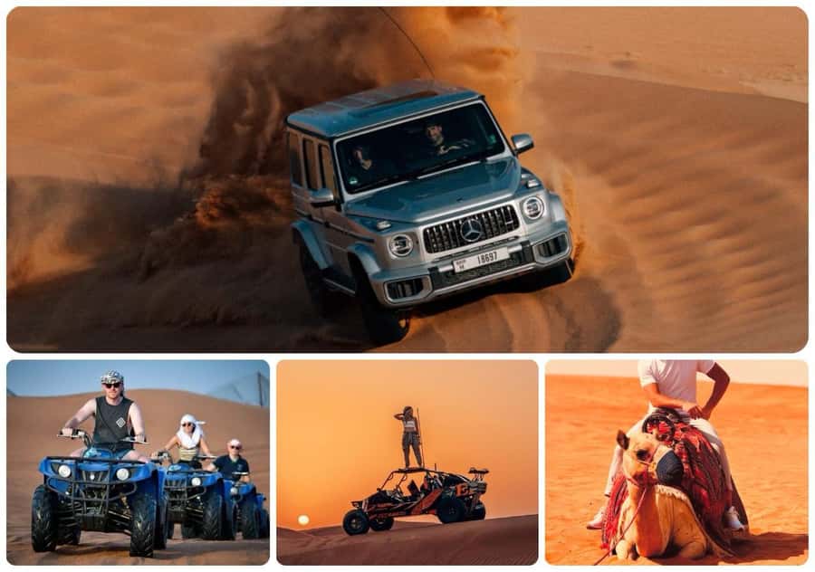 Doha: Desert Safari Experience – Quad Bike, Buggy/Camel Ride - The Inland Sea and Qatar’s desert-meets-water view