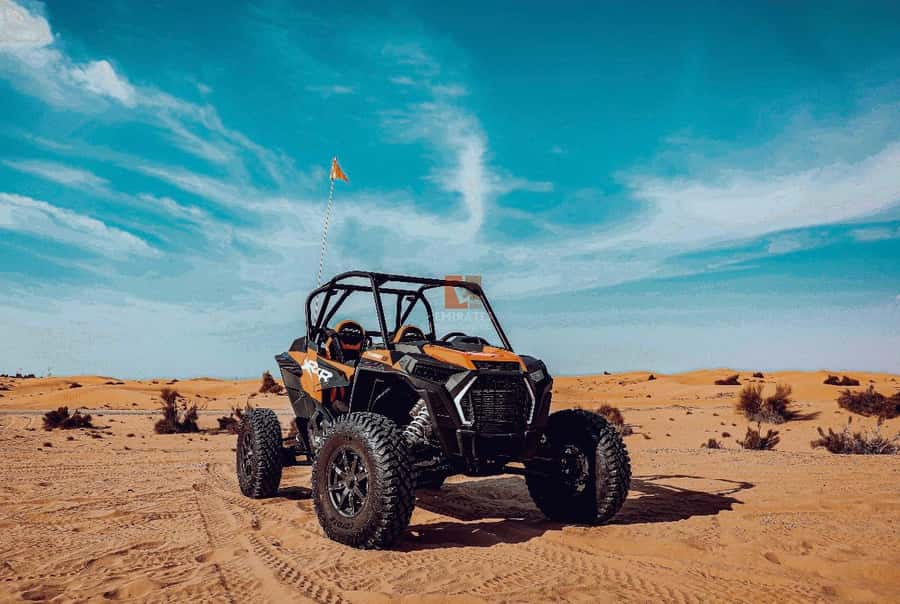 Doha: Desert Safari Experience – Quad Bike, Buggy/Camel Ride - Leaving Doha for the Al Wakrah desert