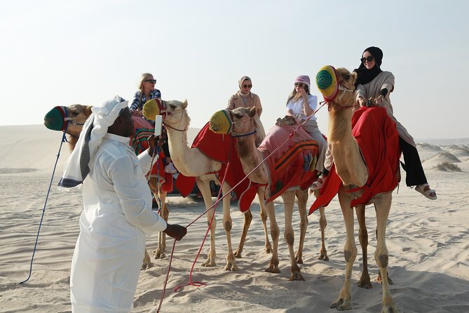 Doha Desert Safari Full day With Dinner,Dune Bashing,Sandboarding - Sealine Beach: where sand reaches the water