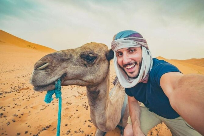 Doha Desert Safari Horse Riding, Camel Ride, ATVs & Inland Sea - One hour on Arabian horses near the dunes