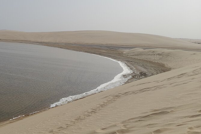 Doha: Desert Safari (Private Tour) with Pick Up & Drop Off - Key points to know before you book