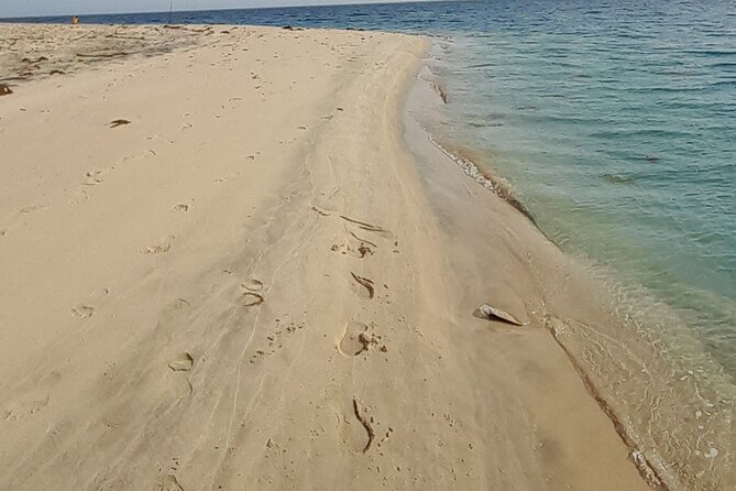 Doha: Desert Safari (Private Tour) with Pick Up & Drop Off - The 4x4 ride across the dunes