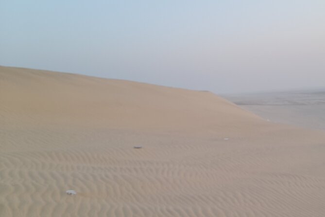 Doha: Desert Safari (Private Tour) with Pick Up & Drop Off - What the private format is worth at $180