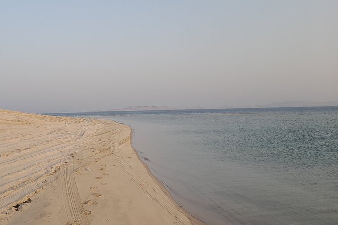 Doha: Desert Safari (Private Tour) with Pick Up & Drop Off - A guide-led experience with a personal touch