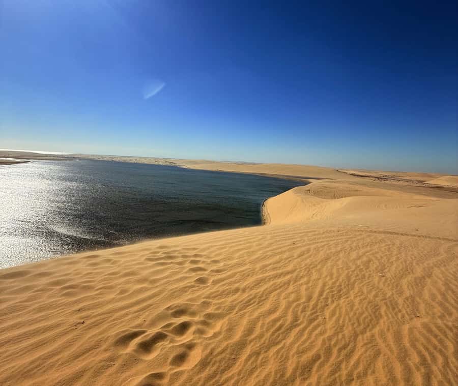 Doha: Desert Safari, Quad Bike, Camel Ride & Inland Sea - Quad biking on a marked desert track