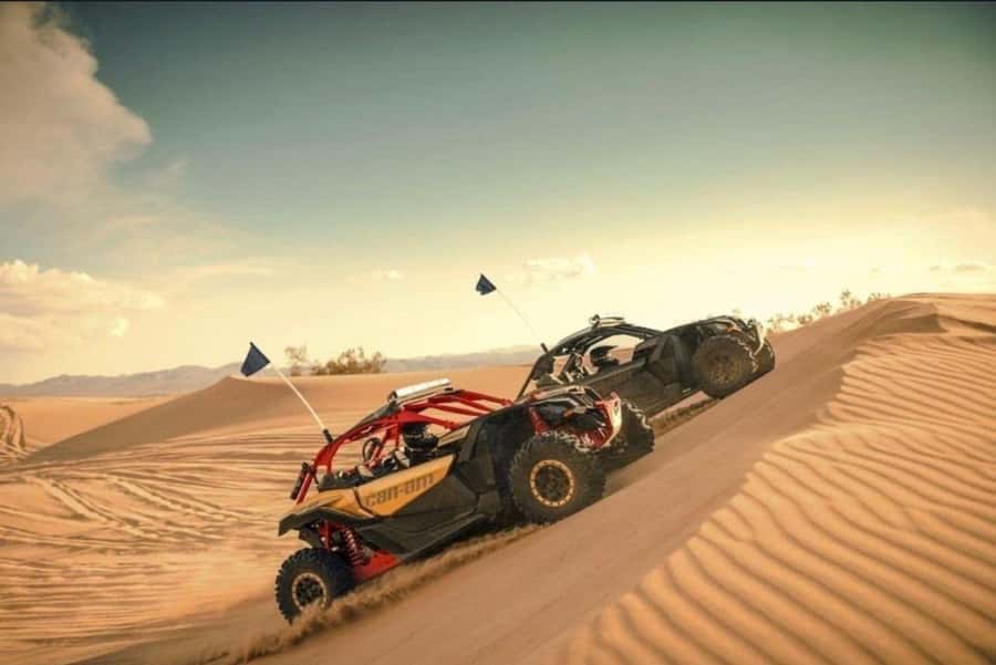 Doha: Desert Safari, Quad Bike, Camel Ride & Inland Sea Tour - Sandboarding on the golden dunes
