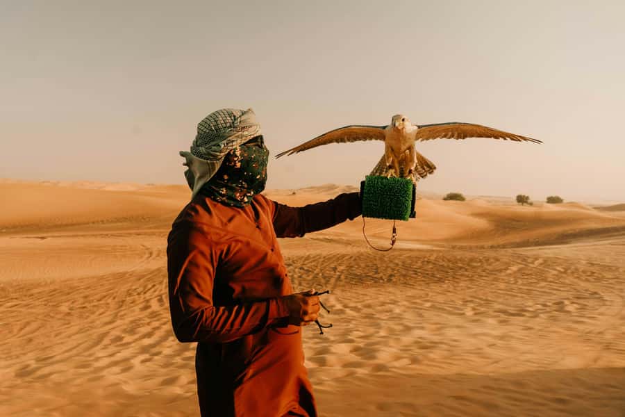 Doha: Desert Safari, Sandboarding, Dune Bashing & Inland Sea - Dune bashing: the main event