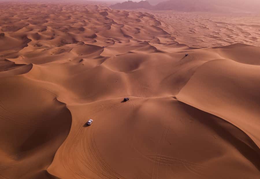 Doha: Desert Safari, Sandboarding, Dune Bashing & Inland Sea - Is $22 good value?