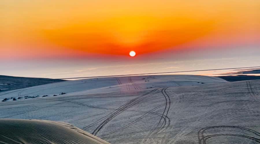 Doha: Desert Safari Sunrise Tour/Sunset Tour - Key points to know before you book