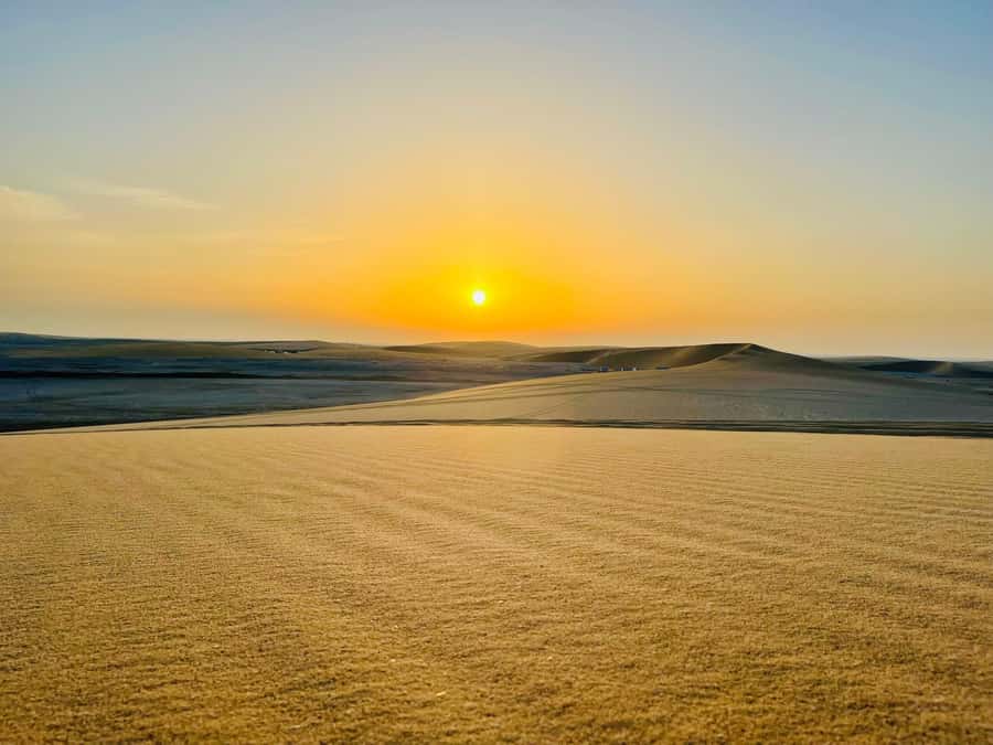 Doha: Desert Safari Sunrise Tour/Sunset Tour - Why this Qatar desert safari works so well