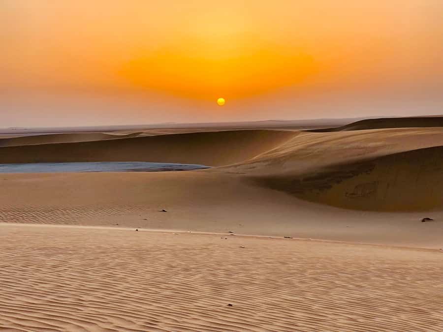 Doha: Desert Safari Sunrise Tour/Sunset Tour - Mesaieed camel ride and first photo stop