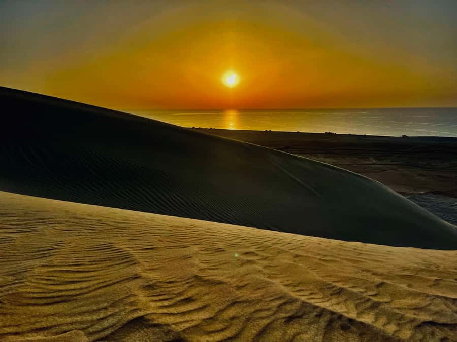 Doha: Desert Safari Sunrise Tour/Sunset Tour - Is $103 a fair price?