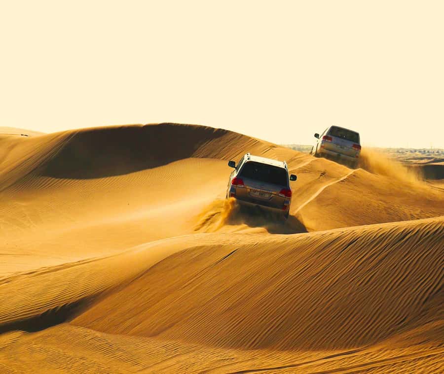 "Doha Desert Safari with all activities" - Leaving Doha in an air-conditioned 4x4