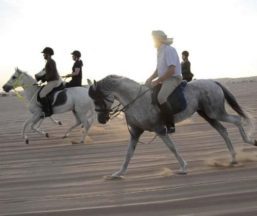 Doha: Desert Safari with Camel Ride and Quad Bike and Buggy - Leaving Doha for the golden dunes