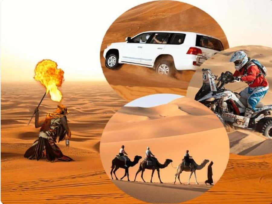 Doha:Desert Safari with Camel Ride, ATV Bike,& Sand Boarding - Leaving Doha for the Inland Sea