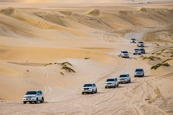 Doha Desert Safari with Camel Ride, Sand Boarding,Inland Sea Tour - Sand boarding on the golden dunes
