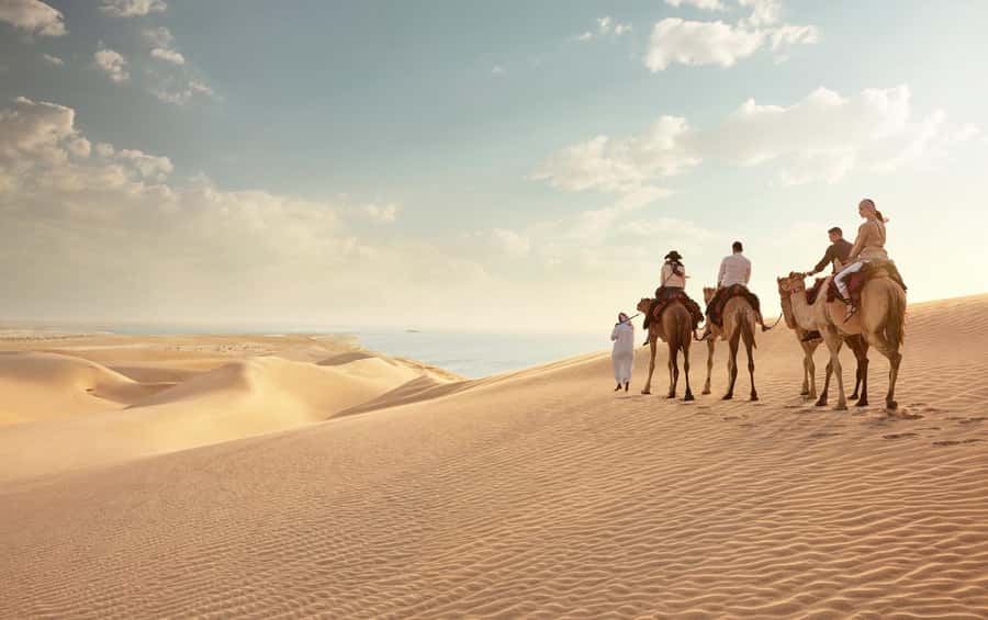 Doha: Desert Safari with Dune Bashing and Inland Sea - Key points to know before booking