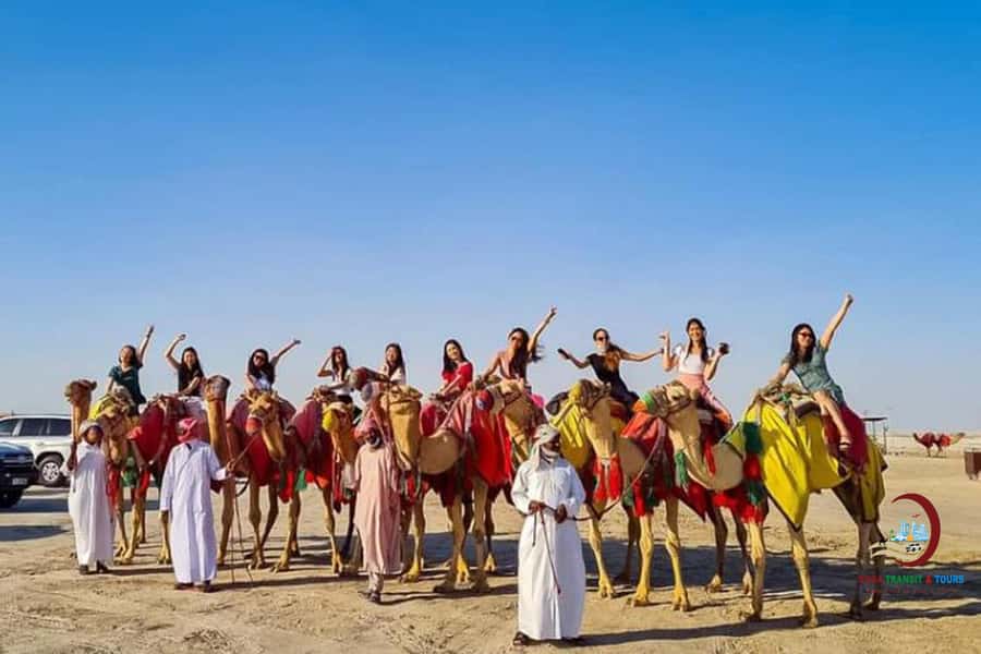 Doha: Desert Safari with Dune Bashing and Inland Sea - What the $60 price really covers