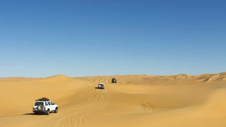 Doha: Desert Safari with Dune Bashing and Inland Sea - Who will enjoy this safari most