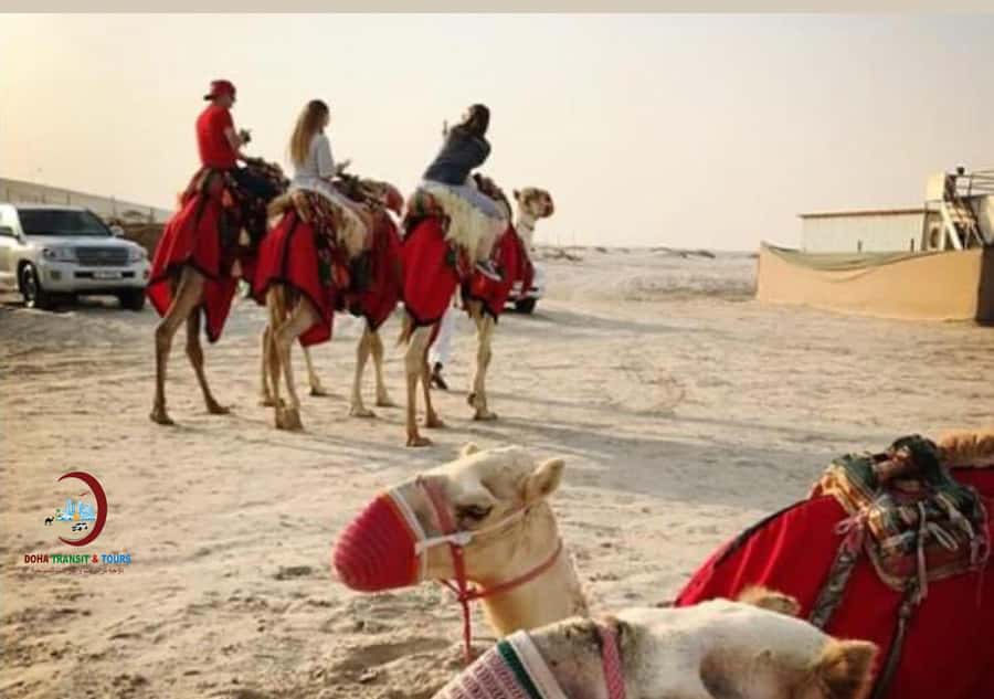Doha: Desert Safari with Dune Bashing and Inland Sea - Simple preparation for a better afternoon