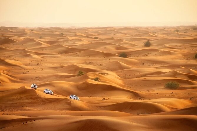 Doha: Desert Safari With Quad bike ,Camel Ride And Sand Boarding - Is $60 a fair price?