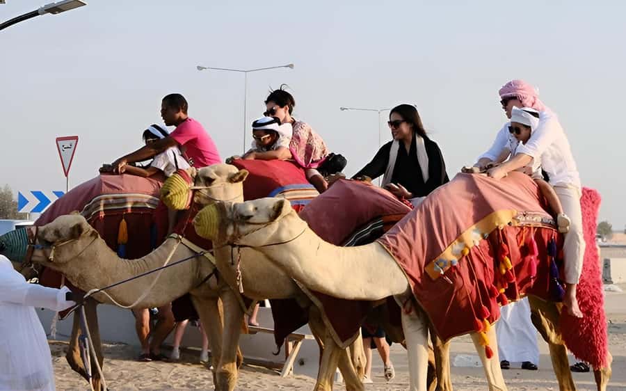 Doha: Desert Safari with Quad Bike, Sandboard & Camel Ride - Camel rides, falcons, and a glimpse of Bedouin life