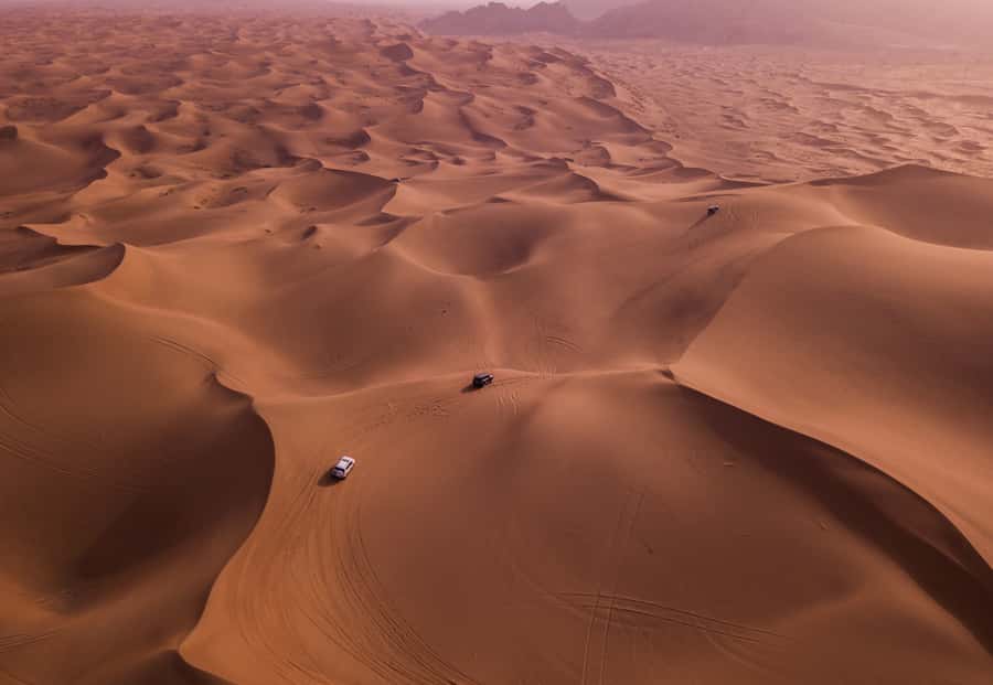 Doha: Desert Safari with Quad Bike, Sandboard & Camel Ride - Dune bashing in a Toyota 4WD