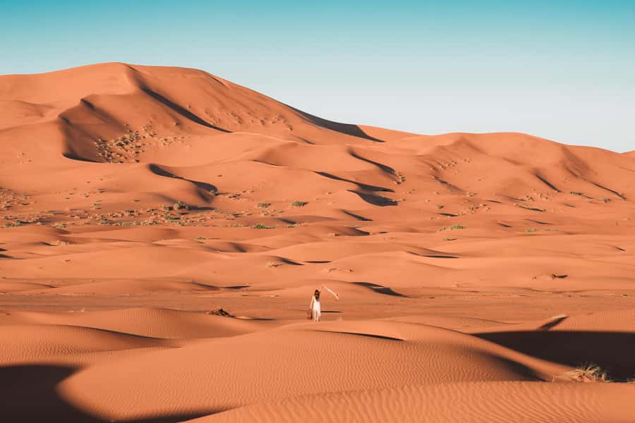 Doha: Desert Safari with Quad Bike, Sandboard & Camel Ride - Quad bikes or dune buggies?
