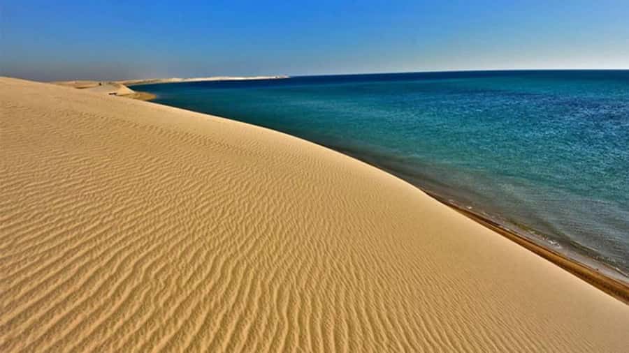 Doha: DesertSafari with Quad Bike, Camel Ride & Sandboarding - Key things to know before booking