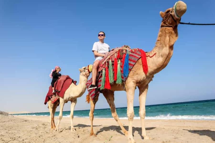 Doha: DesertSafari with Quad Bike, Camel Ride & Sandboarding - Who will enjoy this desert safari?