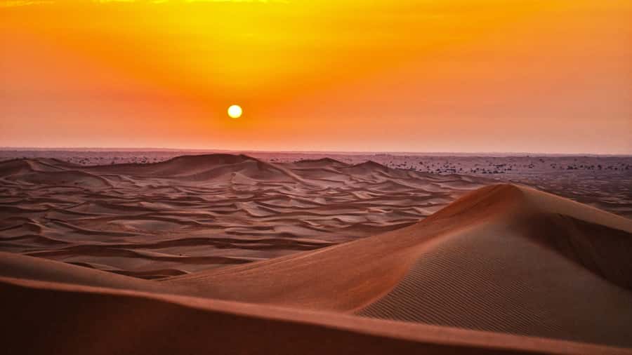 Doha: Dune Bashing Safari, Falcon, Camel, ATV, Sandboarding - Key points to know before you book