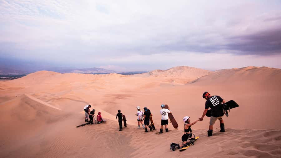 Doha: Dune Bashing Safari, Falcon, Camel, ATV, Sandboarding - Why this $27 safari offers good value