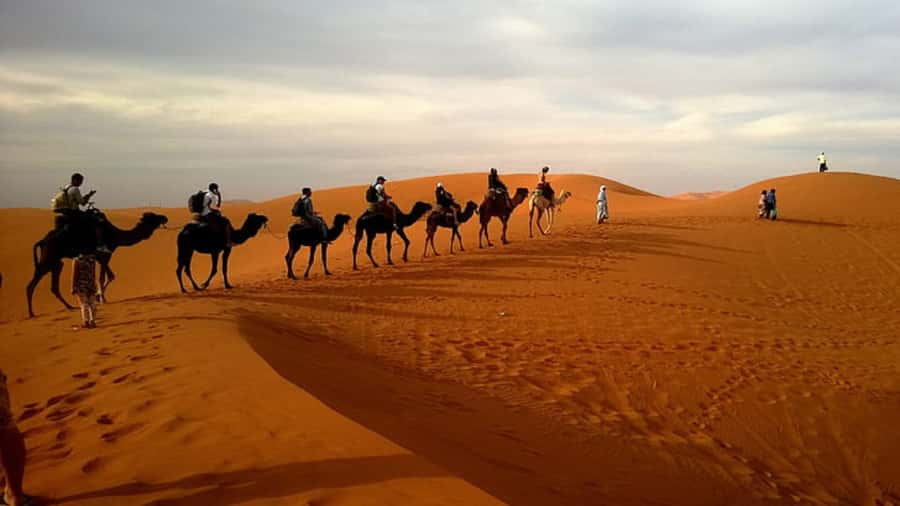 Doha: Dune Bashing Safari, Falcon, Camel, ATV, Sandboarding - What the four-hour schedule feels like