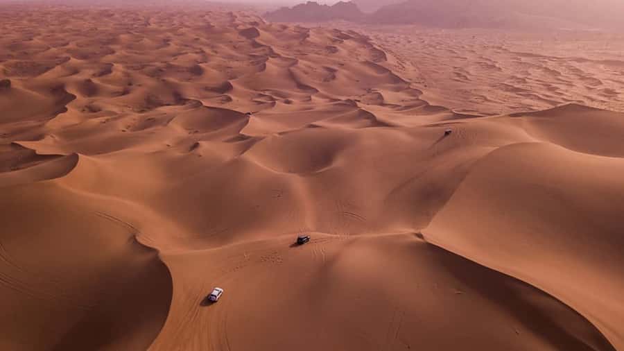 Doha: Dune Bashing Safari, Falcon, Camel, ATV, Sandboarding - From Doha to Sealine, the desert begins at the tire stop