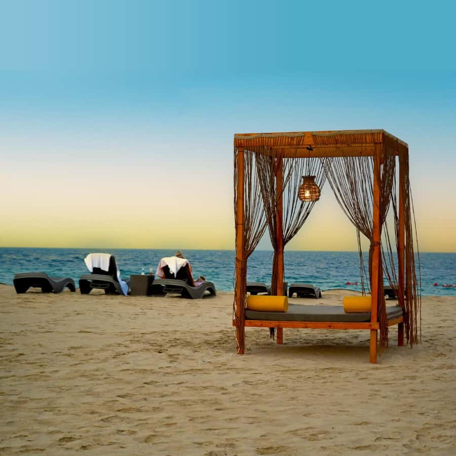 Doha: Full-Day Desert Safari, Dune Bashing & BBQ Dinner - Key points at a glance