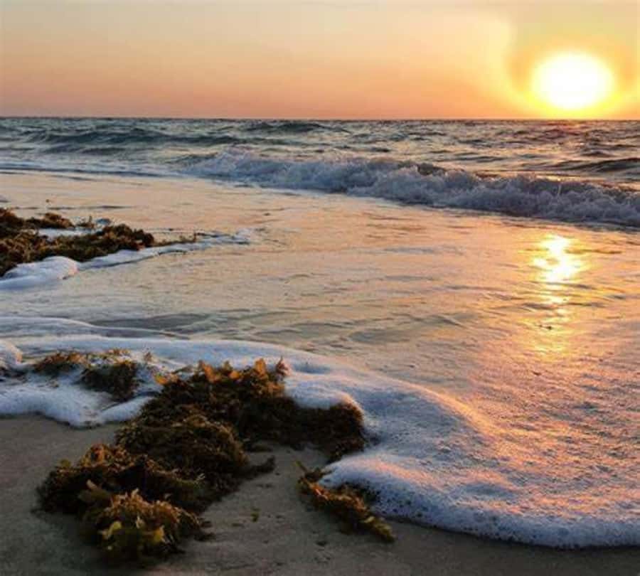 Doha: Full-Day Desert Safari, Dune Bashing & BBQ Dinner - The Inland Sea adds a different view