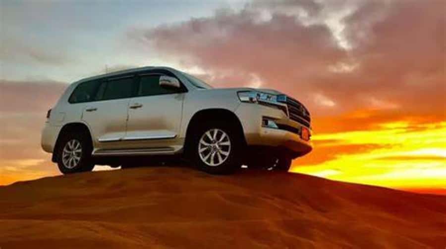 Doha: Full-Day Desert Safari, Dune Bashing & BBQ Dinner - A camel ride before the speed begins