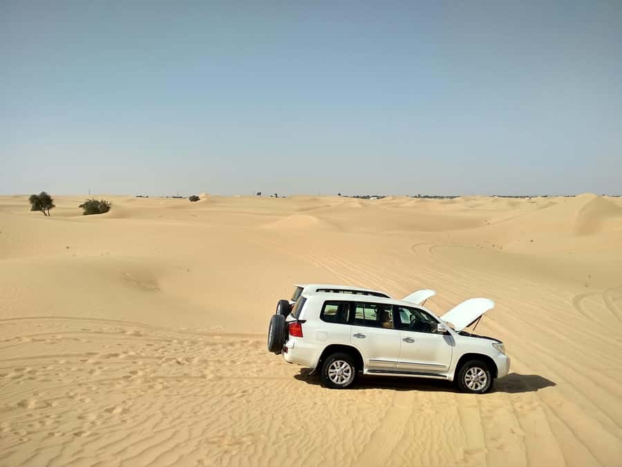 Doha: Full-Day Desert Safari with Lunch/Dinner, Camel Ride - Key Points Before You Book