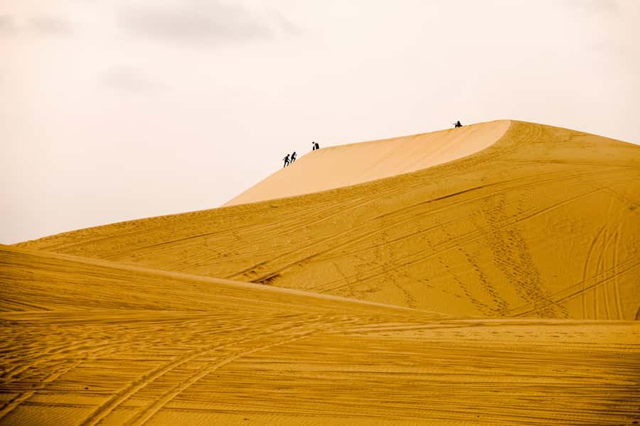 Doha: Full-Day Desert Safari with Lunch/Dinner, Camel Ride - Lunch or Dinner at the Desert Camp