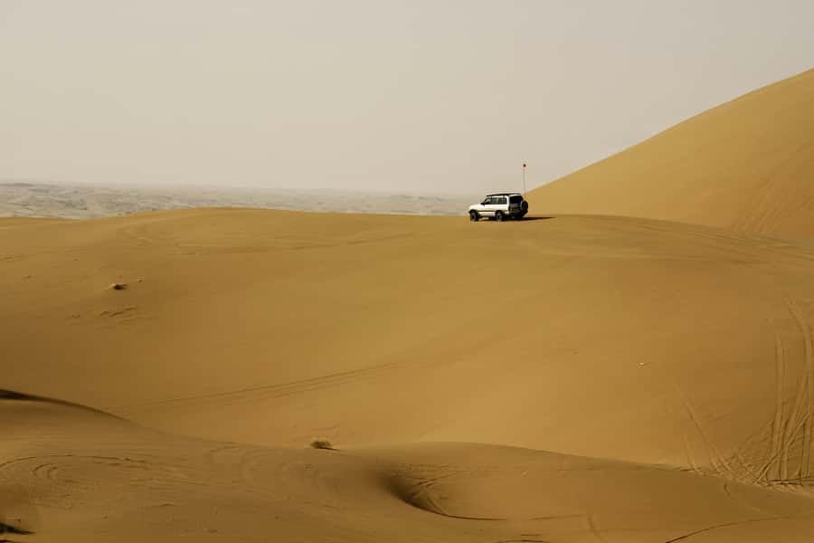 Doha: Full-Day Desert Safari with Lunch/Dinner, Camel Ride - What You Pay for at $157
