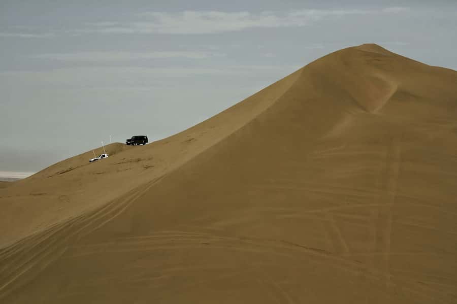 Doha: Full-Day Desert Safari with Lunch/Dinner, Camel Ride - Who Will Enjoy This Safari Most