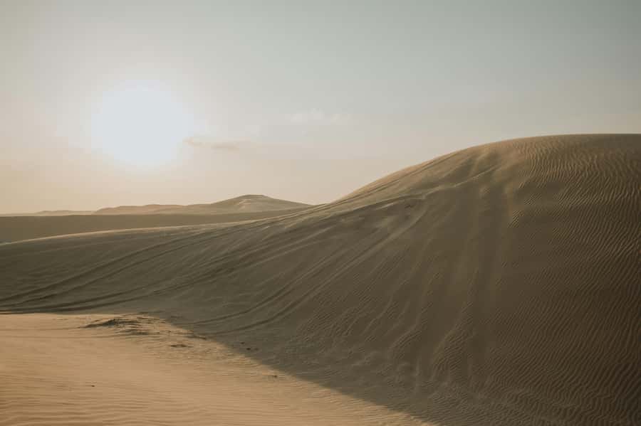 Doha: Full-Day Desert Safari with Lunch/Dinner, Camel Ride - Dune Bashing Across the Golden Sand