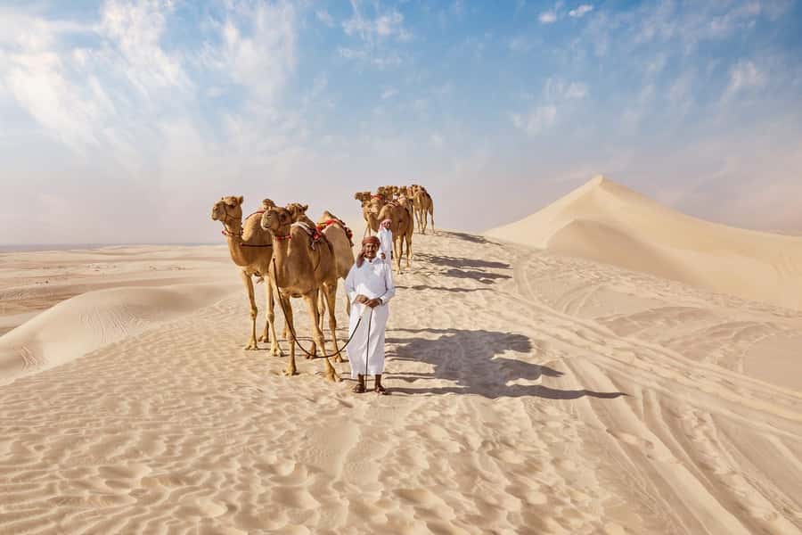 Doha Full Day Guided Tour in Qatar North and West - Al Khor harbor and Qatar’s seafaring past