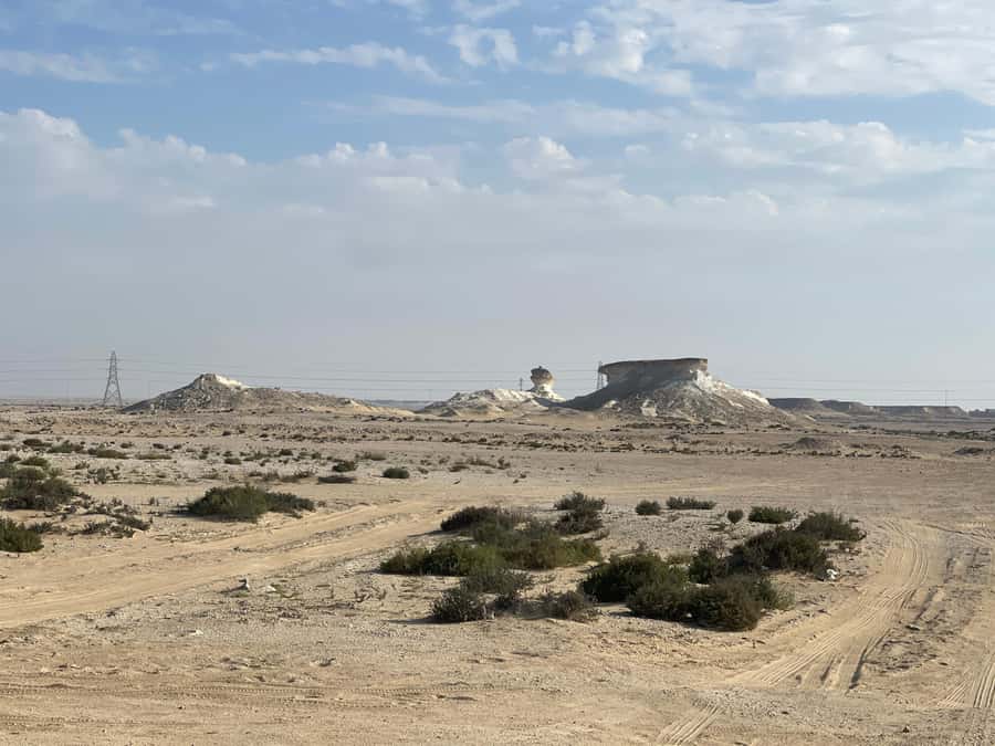 Doha Full Day North & West Tour | Rich History & culture - Why this tour is a useful introduction to northern Qatar