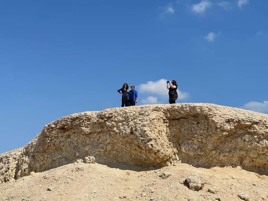 Doha Full Day North & West Tour | Rich History & culture - Al Thakira mangroves add an unexpected green pause